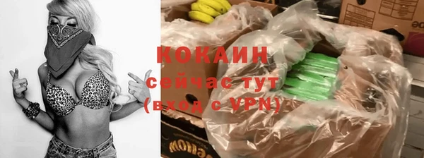 ПСИЛОЦИБИНОВЫЕ ГРИБЫ Новозыбков