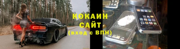 mdpv Новодвинск