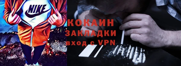 ПСИЛОЦИБИНОВЫЕ ГРИБЫ Новозыбков
