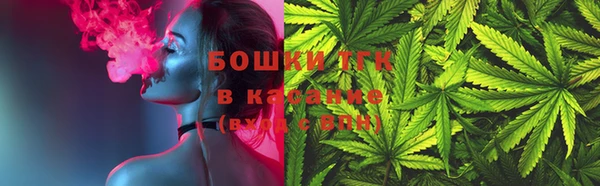 ПСИЛОЦИБИНОВЫЕ ГРИБЫ Новозыбков