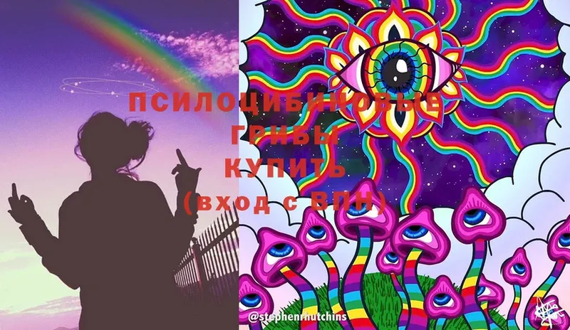 Псилоцибиновые грибы Magic Shrooms  Почеп 